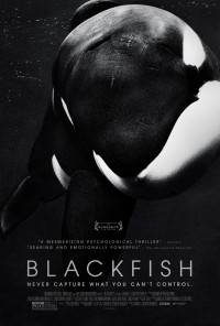 Phim Cá đen - Blackfish (2013) Phim Cá đen - Blackfish (2013)