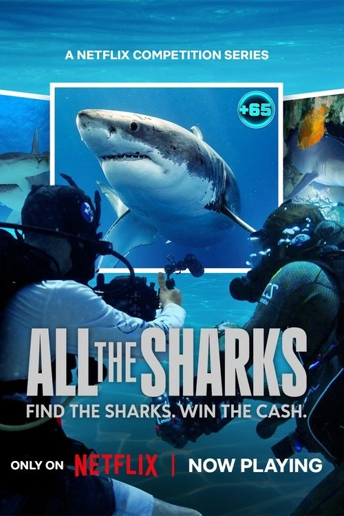 Phim Đi Tìm Cá Mập - All The Sharks (2025)