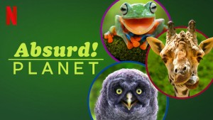 Phim Hành tinh kỳ quái - Absurd Planet (2020) Phim Hành tinh kỳ quái - Absurd Planet (2020)