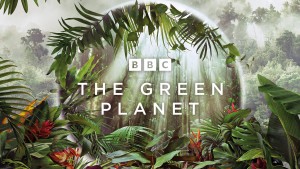 Phim Hành Tinh Xanh - The Green Planet (2022) Phim Hành Tinh Xanh - The Green Planet (2022)