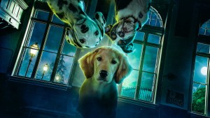 Phim Phantom Pups (Phần 1) - Phantom Pups (Season 1) (2022) Phim Phantom Pups (Phần 1) - Phantom Pups (Season 1) (2022)